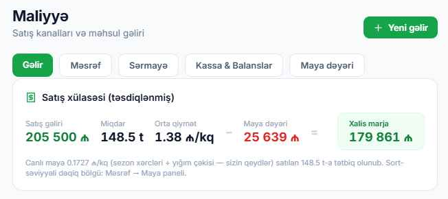 Satış xülasəsi: satış gəliri, miqdar, orta qiymət, maya dəyəri və xalis marja